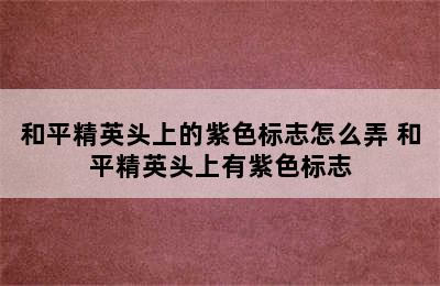 和平精英头上的紫色标志怎么弄 和平精英头上有紫色标志